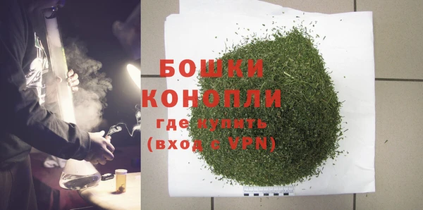 apvp Бородино