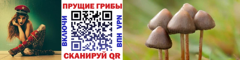 Галлюциногенные грибы ЛСД Сретенск
