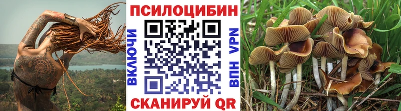 Галлюциногенные грибы Cubensis Сретенск